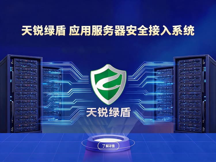 吉林应用服务器安全接入系统